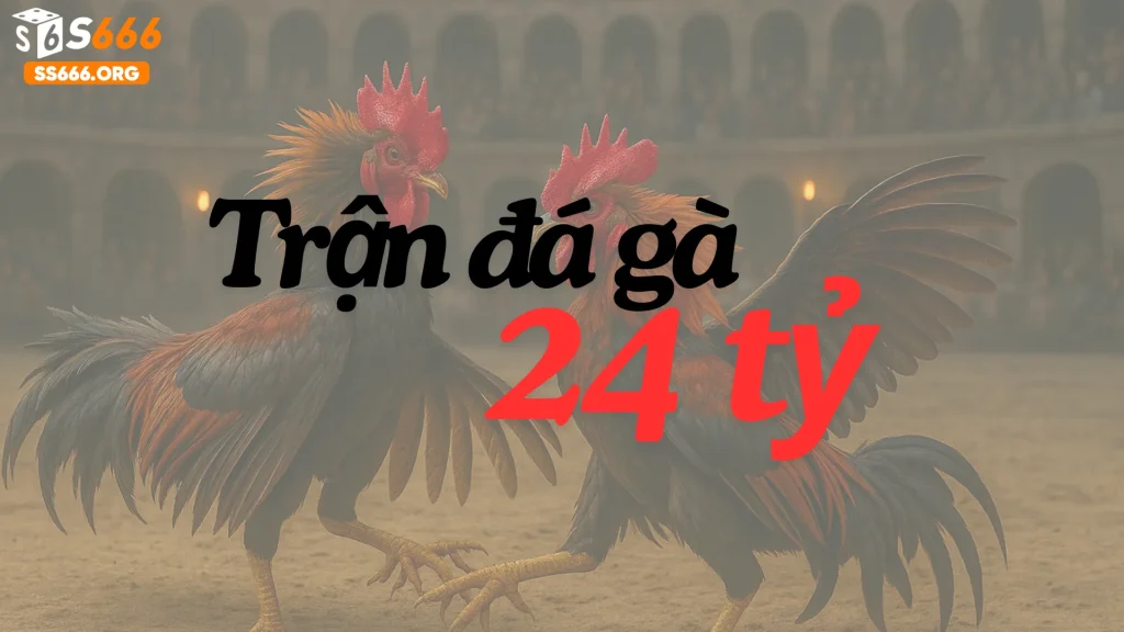 Trận đá gà 24 tỷ tại S666