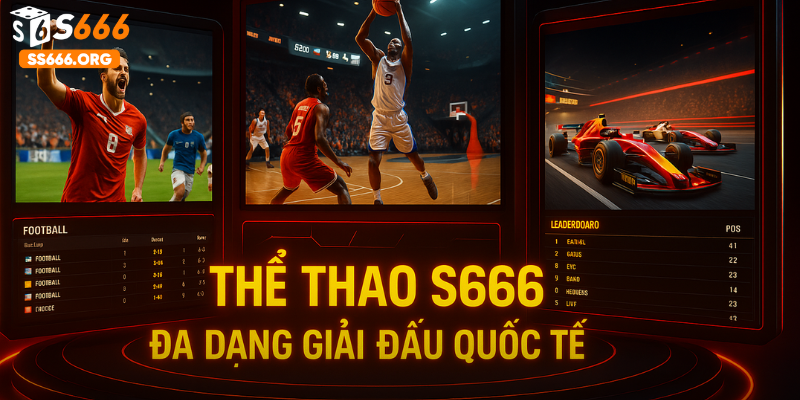 Giao diện thể thao S666 hiện đại với nhiều môn thể thao quốc tế